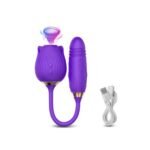 Sucker And Thrusting Vibrator